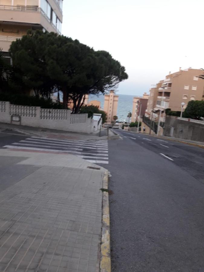 Apartamento Completo, Mascotas Aceptadas Arenales del Sol Eksteriør billede