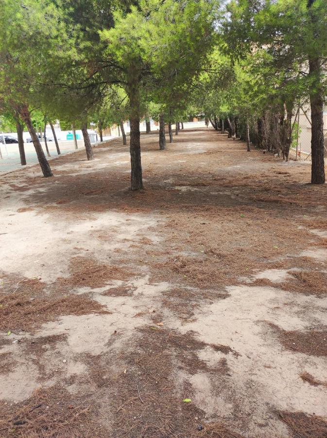 Apartamento Completo, Mascotas Aceptadas Arenales del Sol Eksteriør billede