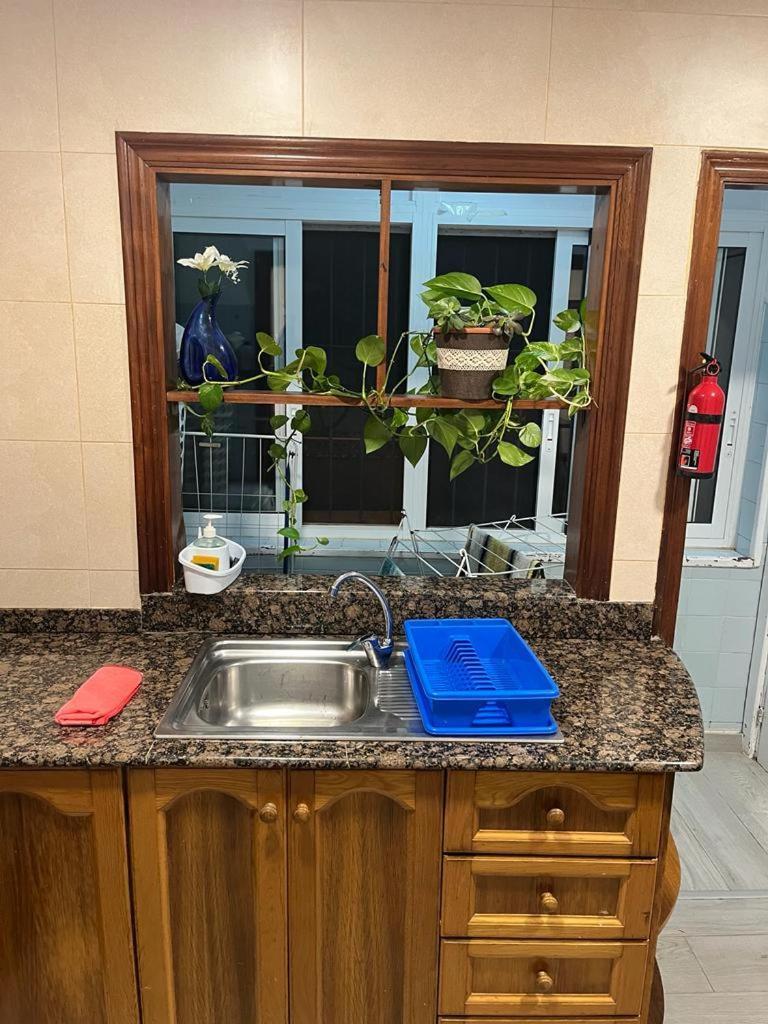 Apartamento Completo, Mascotas Aceptadas Arenales del Sol Eksteriør billede